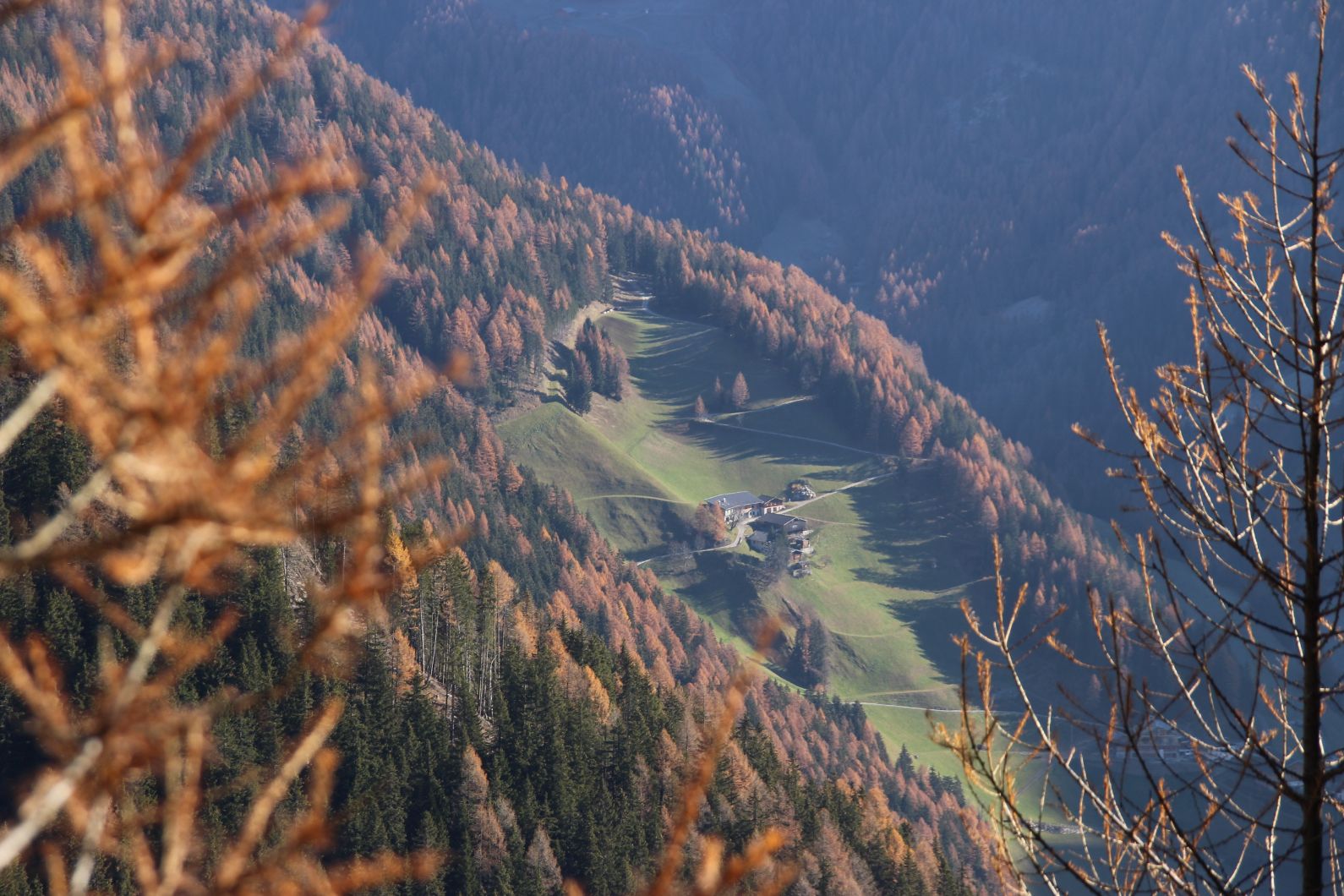 autunno d'oro