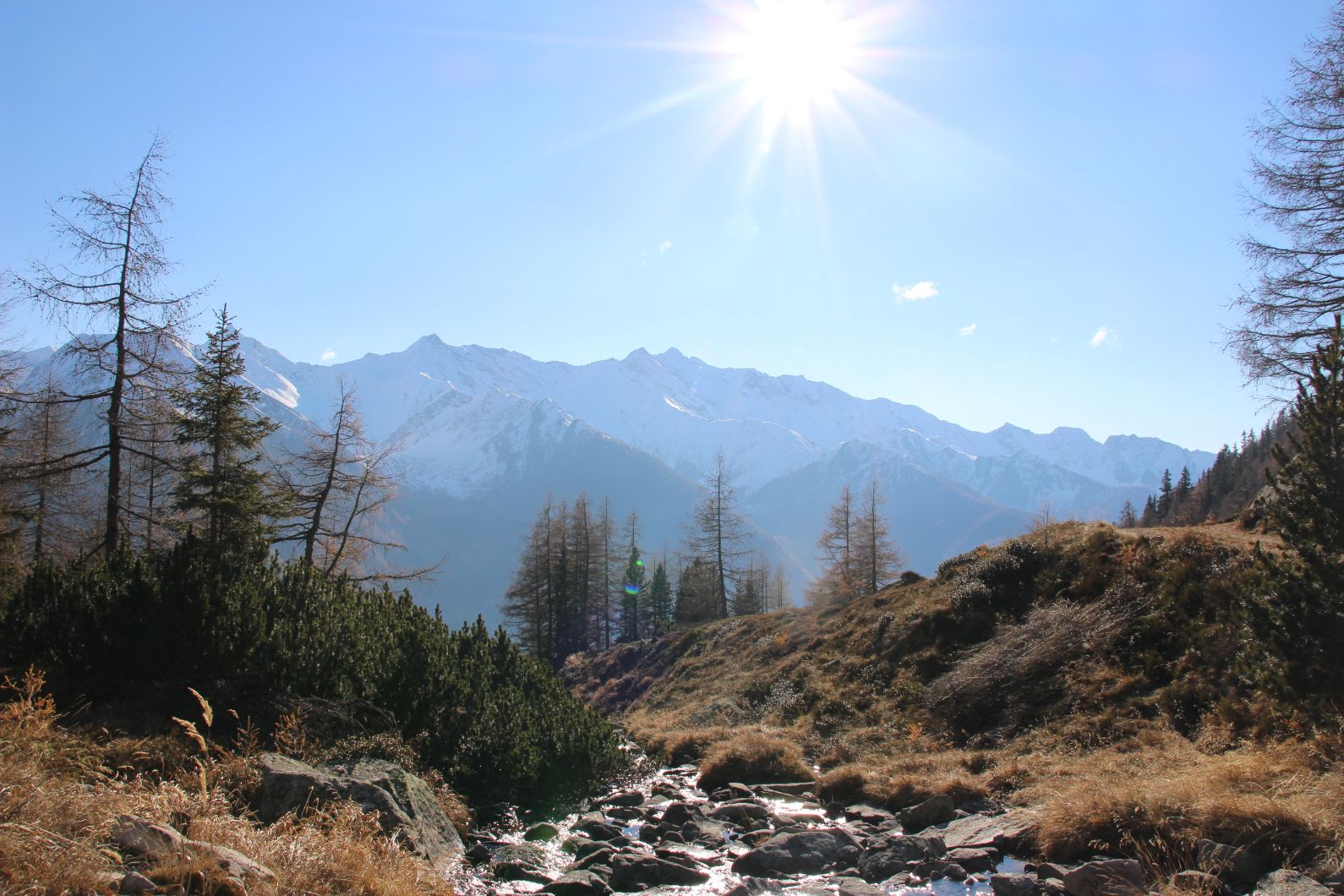 autunno d'oro